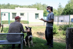 Eine Tierpflegerin macht sich bei einem Aufeinandertreffen eines Interessenten mit einem Hund Notizen.